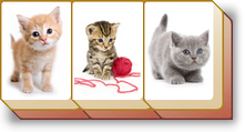 MahJong Suite - new Kittens Tile Set