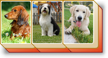 MahJong Suite - Outdoor Dogs Tile Set